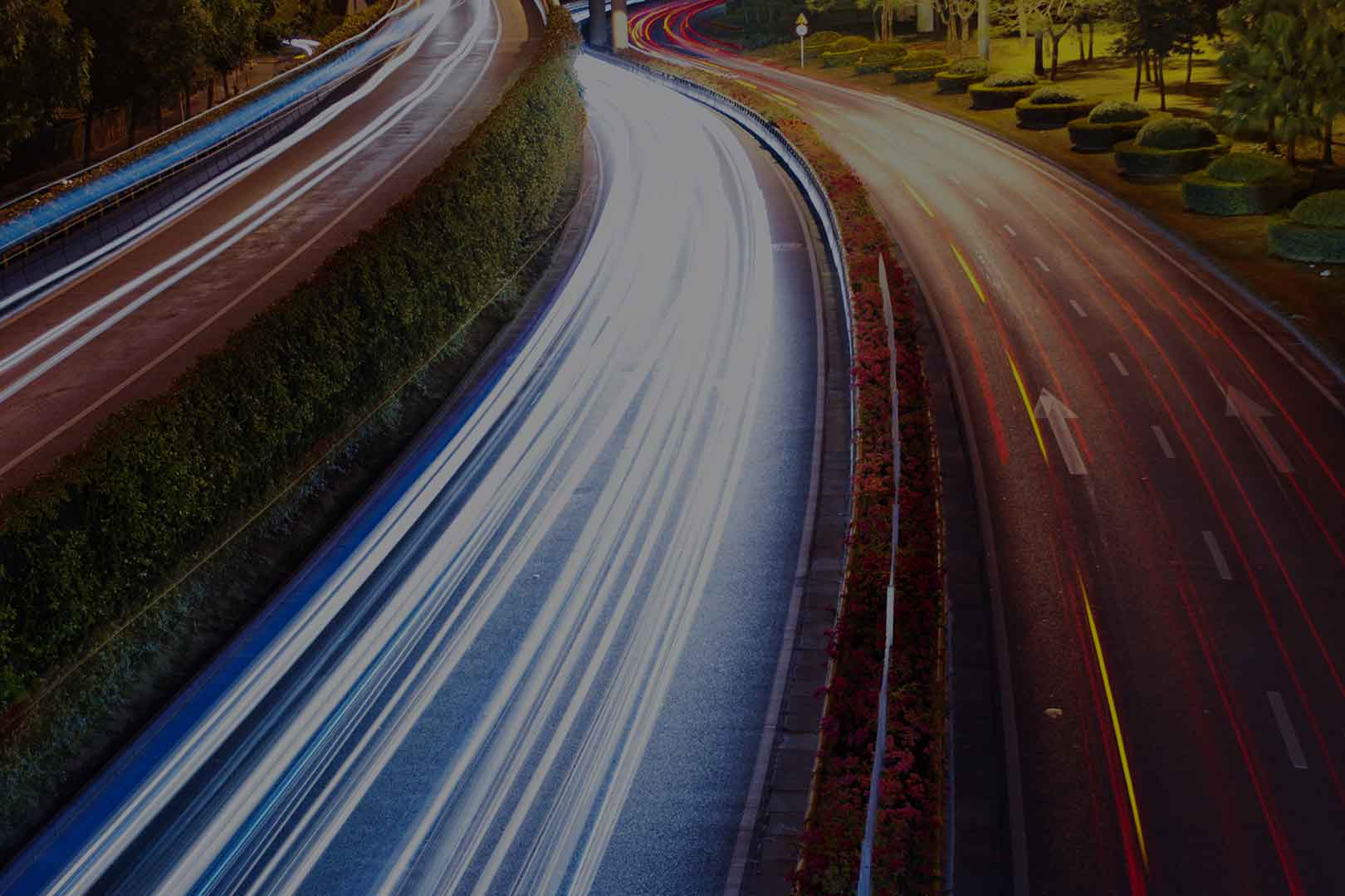 guidiamo la tua azienda nella trasformazione digitale